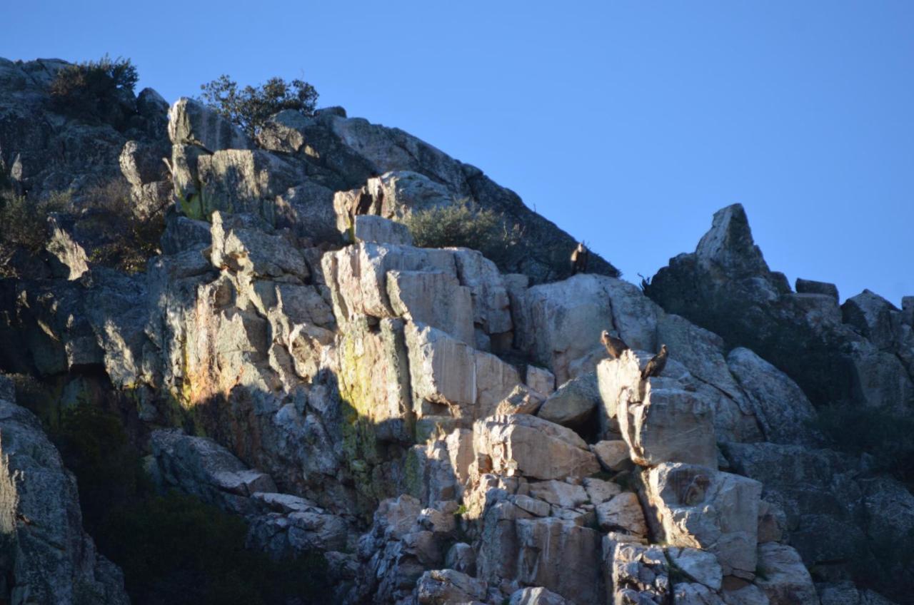 Alojamiento La Canada Monfrague Торрехон-эль-Рубио Экстерьер фото